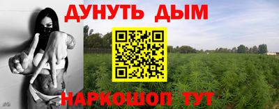 крисы Нальчик