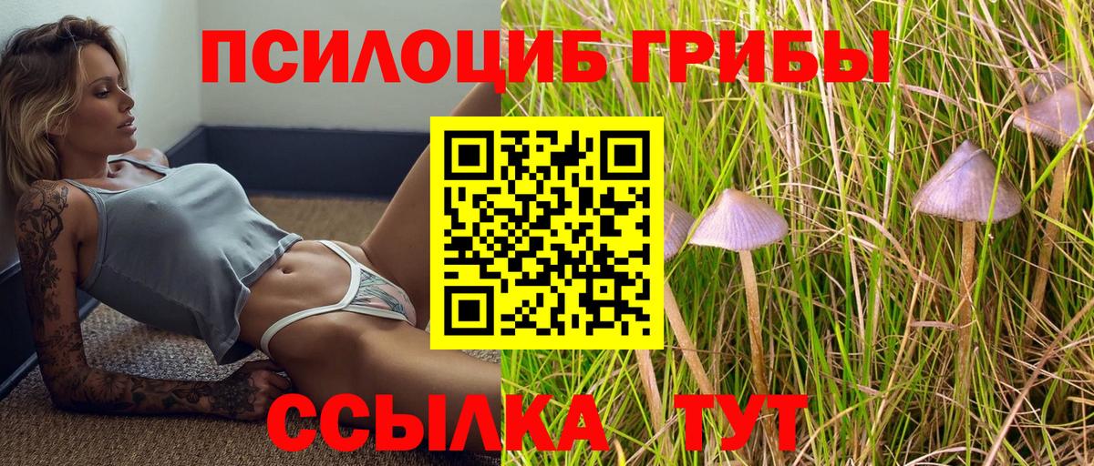 Галлюциногенные грибы ЛСД Сосновоборск