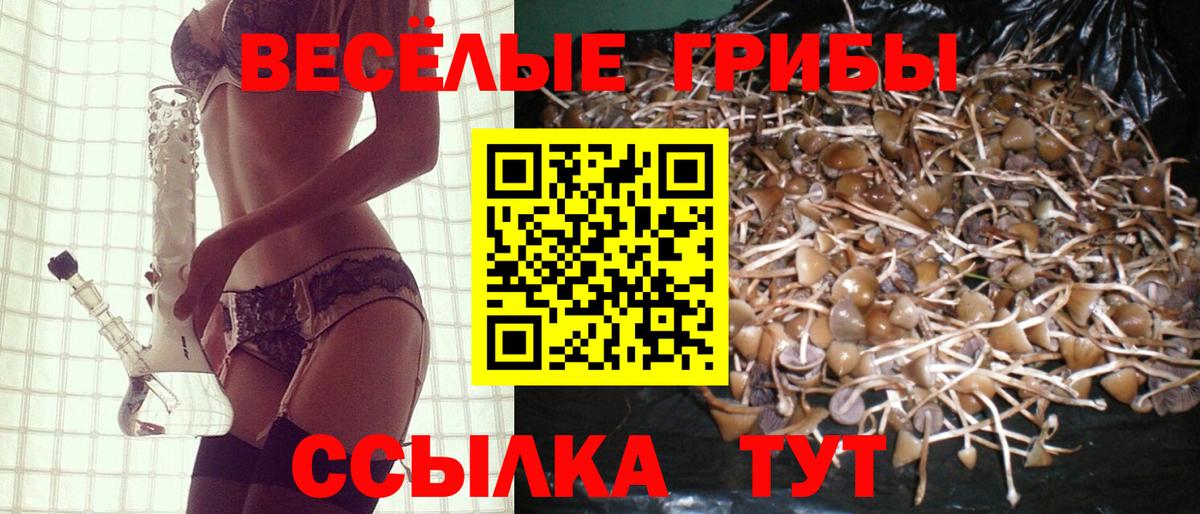Сосновоборск  Галлюциногенные грибы Psilocybe  Псилоцибиновые грибы мухоморы  Вход с VPN 